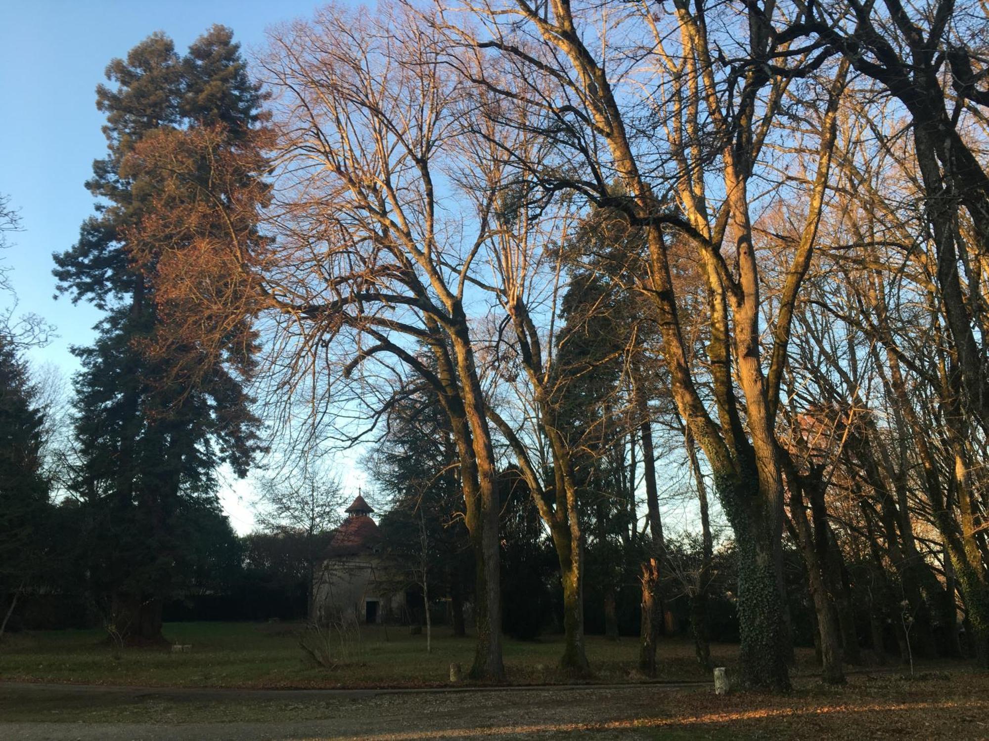 Château de Chasseneuil sur Bonnieure Exterior foto